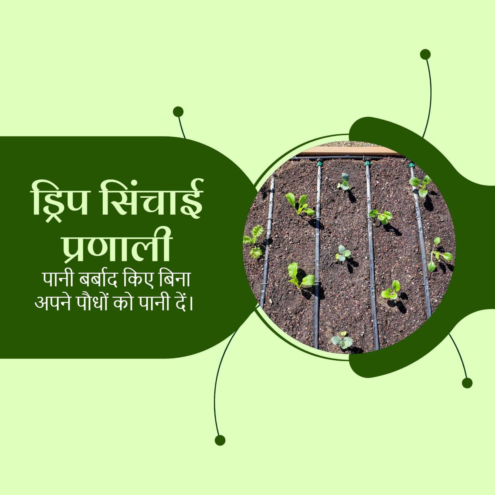 Agriculture poster 471