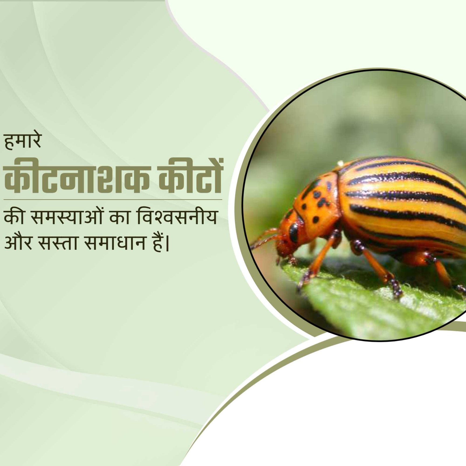 Agriculture poster 417