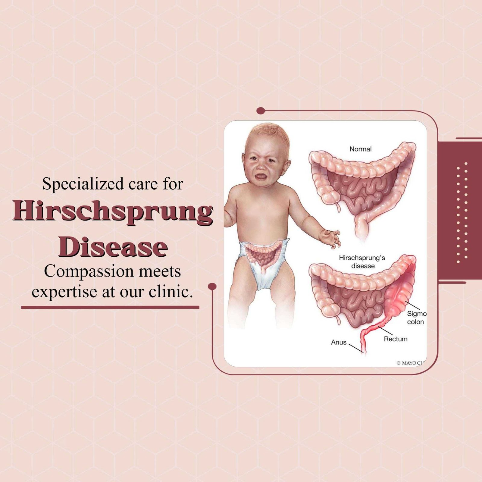 Hospital and Clinic poster 366