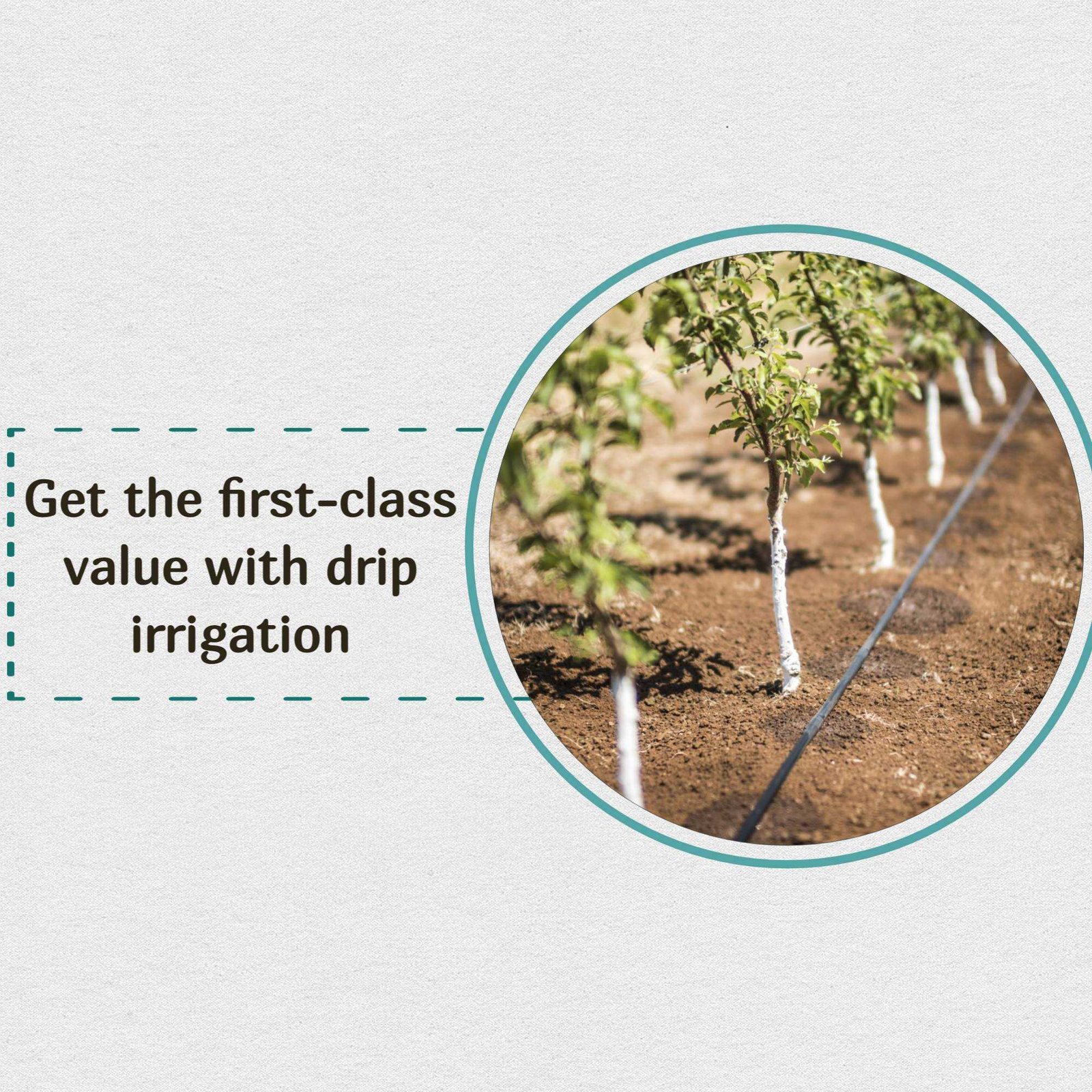 Agriculture poster 482