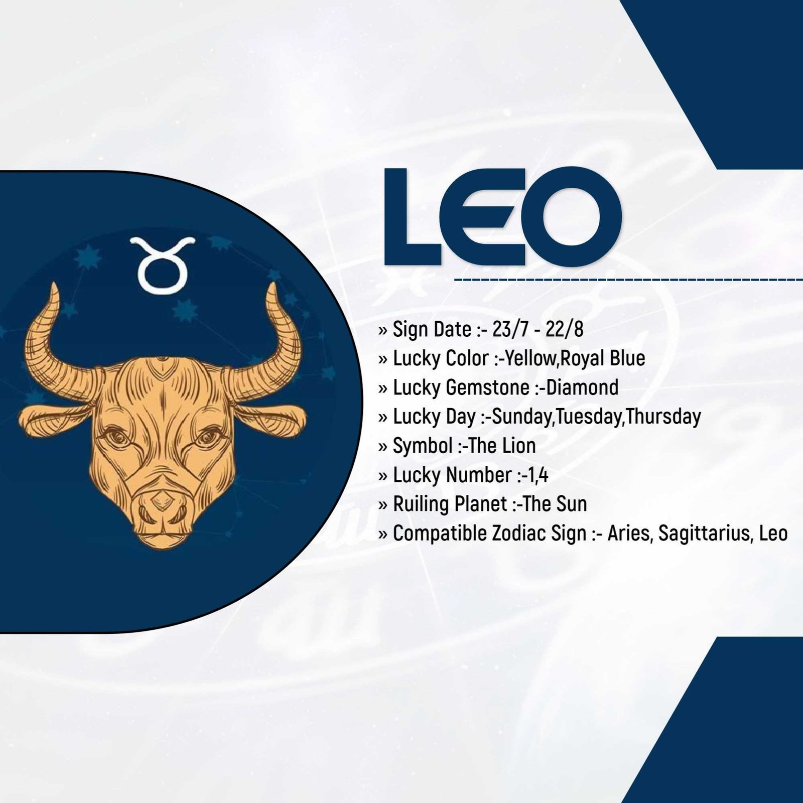 Astrologer poster 319