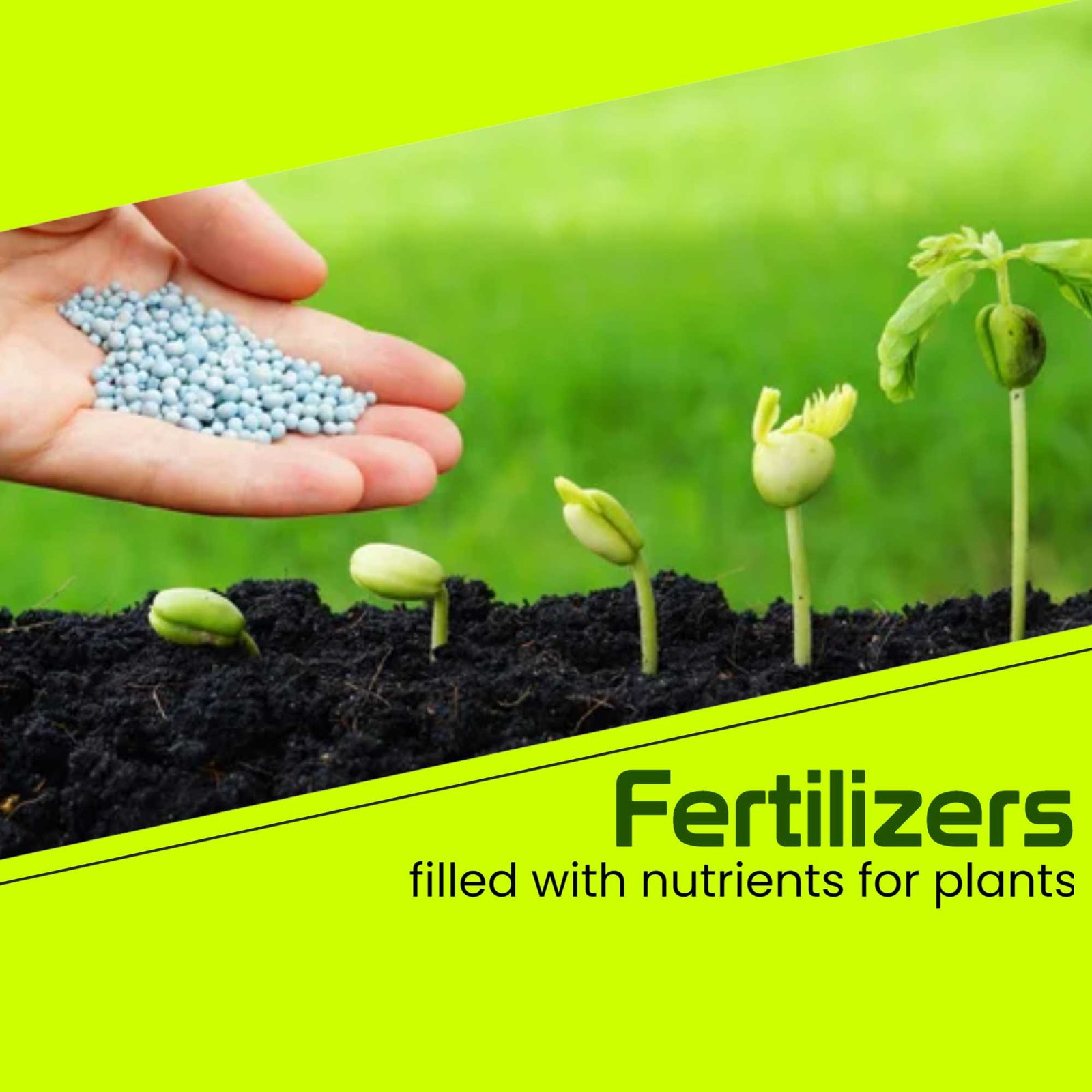 Agriculture poster 427