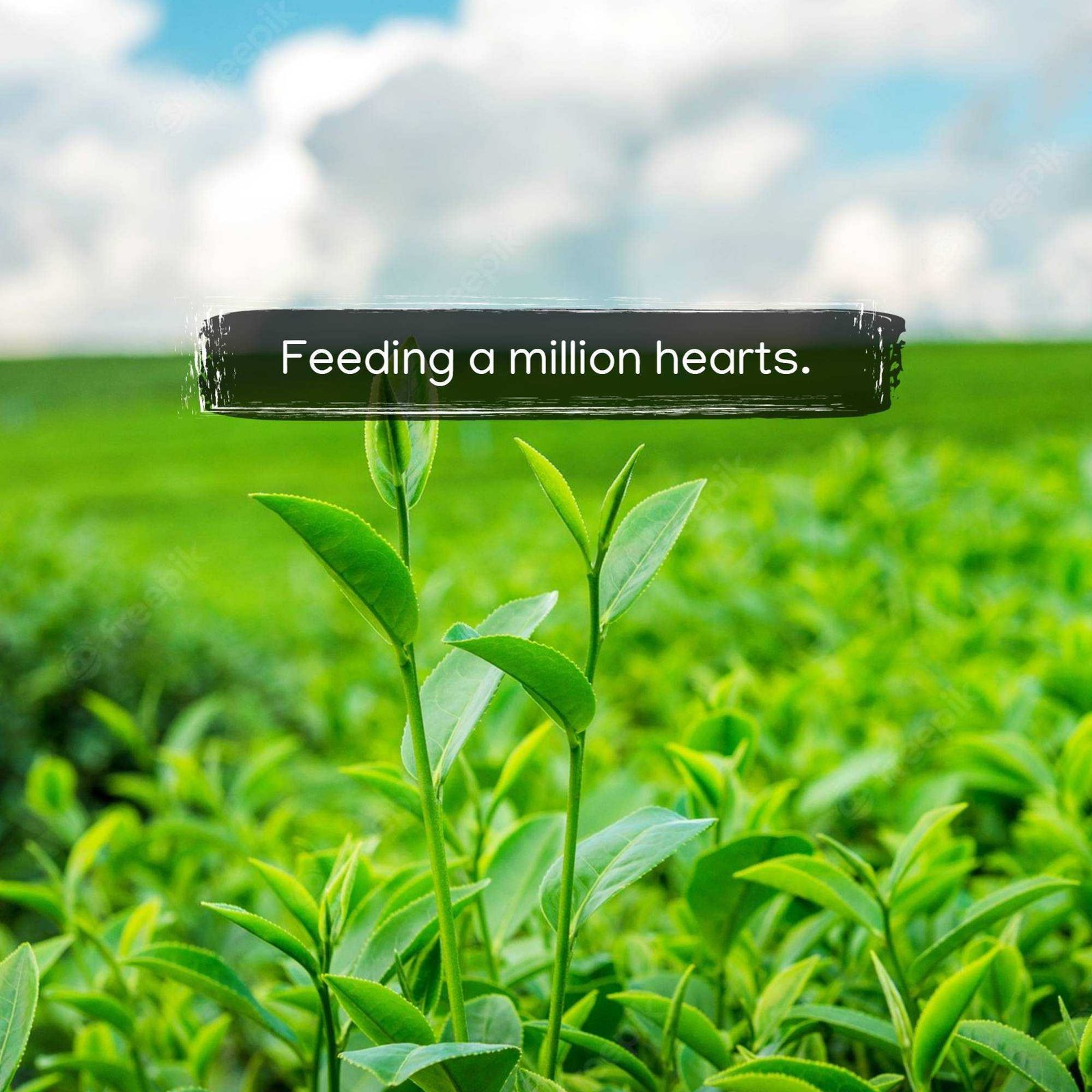 Agriculture poster 403