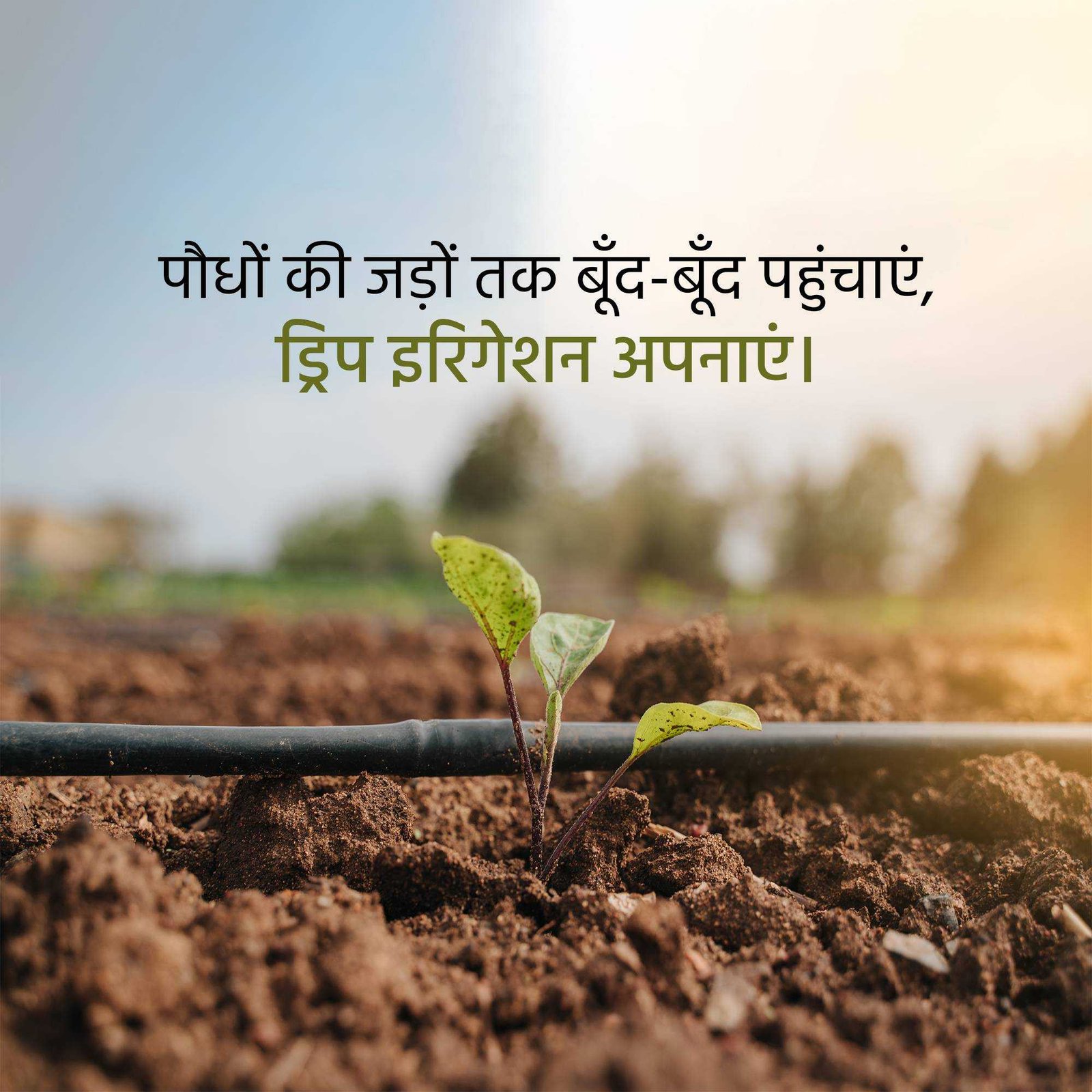 Agriculture poster 473