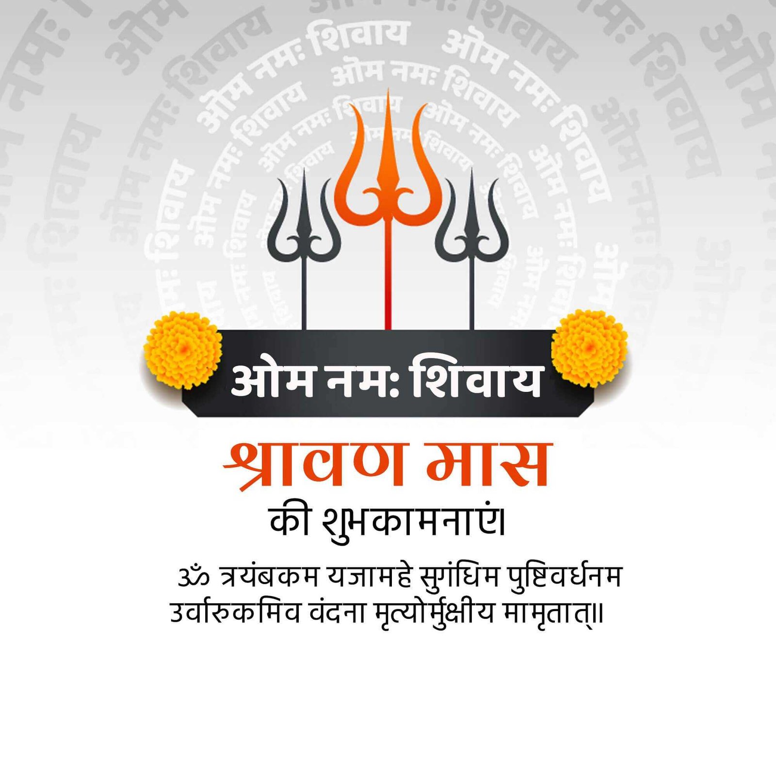 Shravan Maas पोस्टर 289