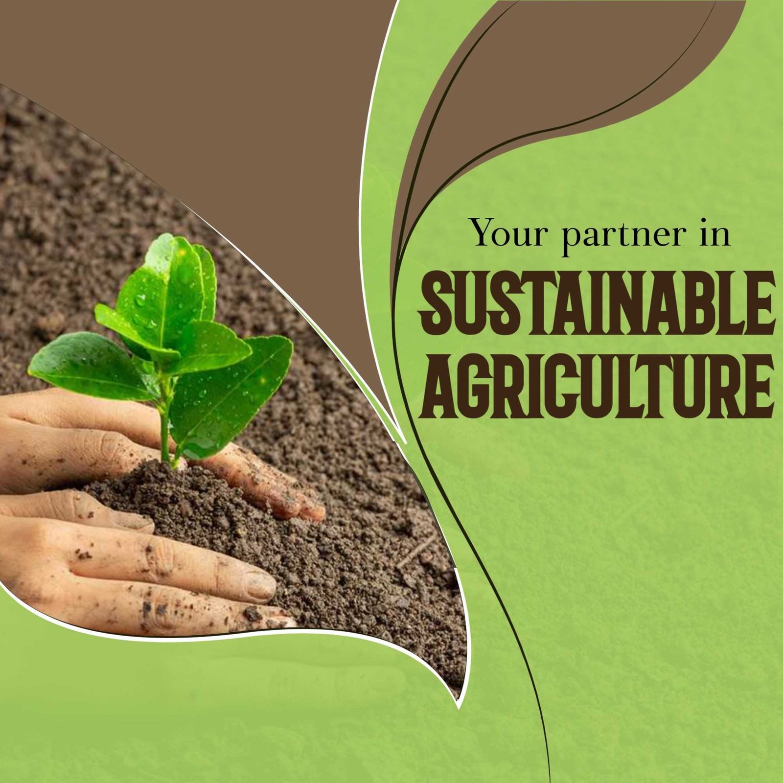 Agriculture poster 316