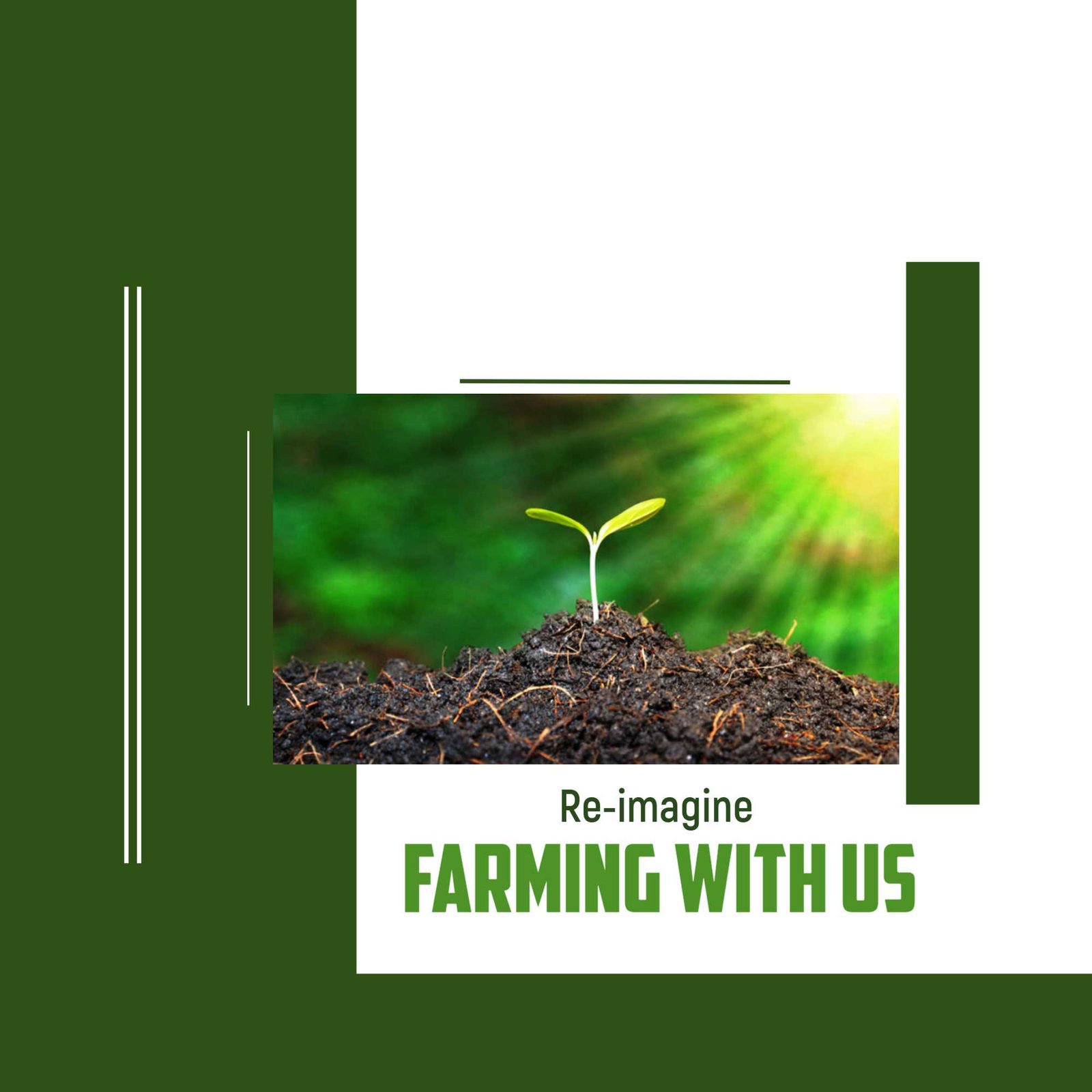 Agriculture poster 461