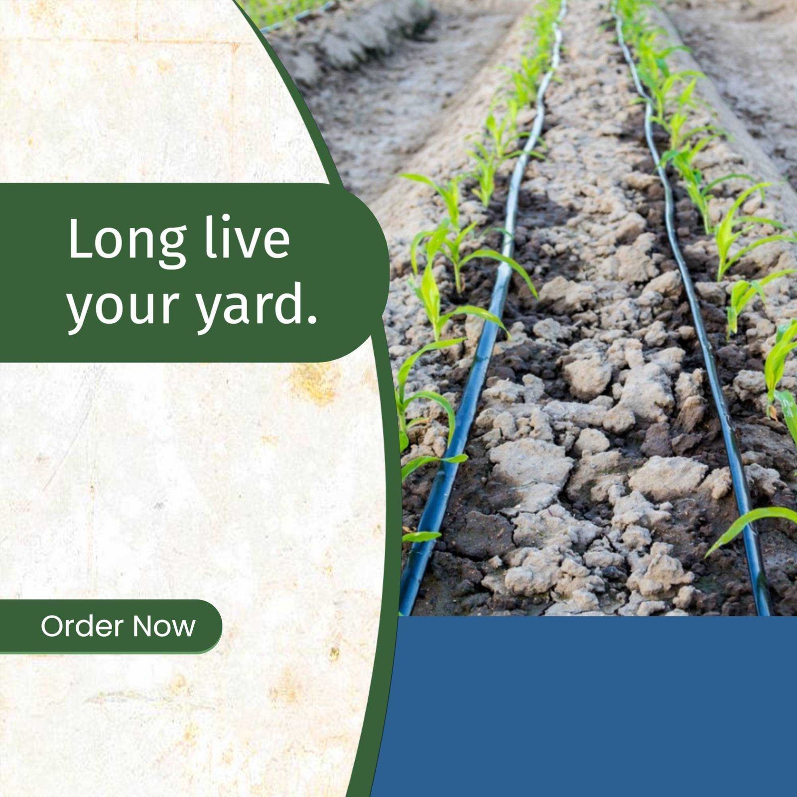 Agriculture poster 477