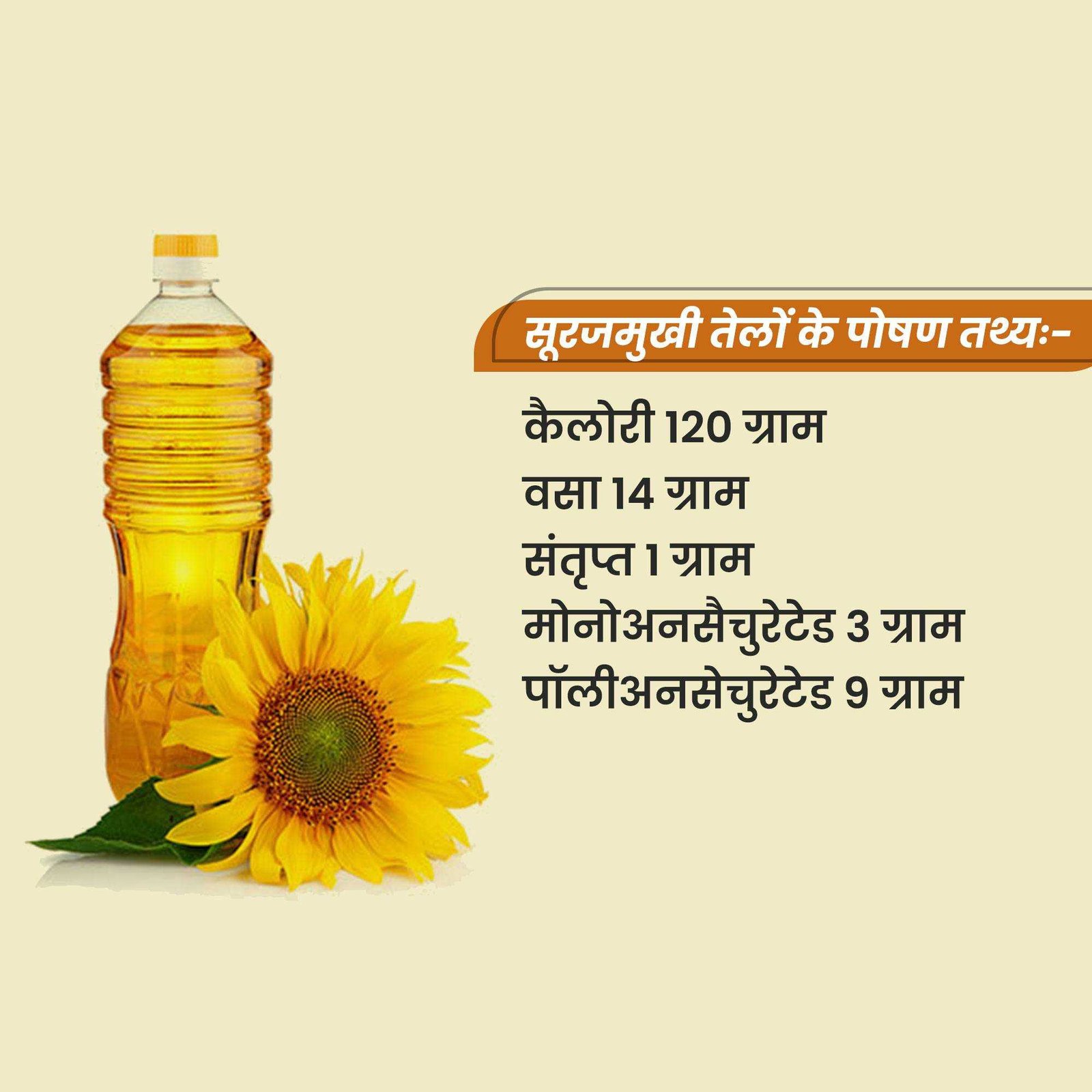 FMCG Business पोस्टर 256