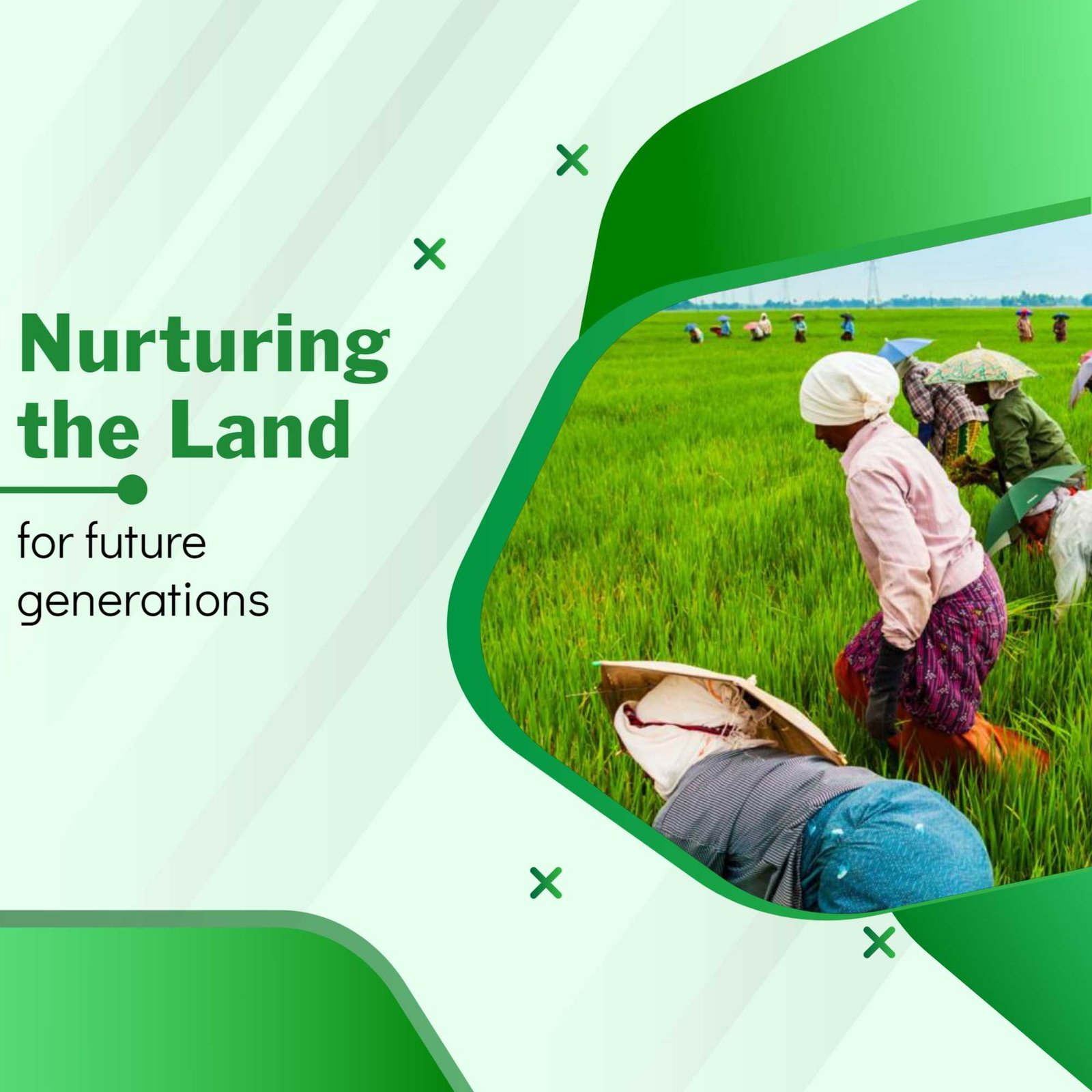 Agriculture पोस्टर 307