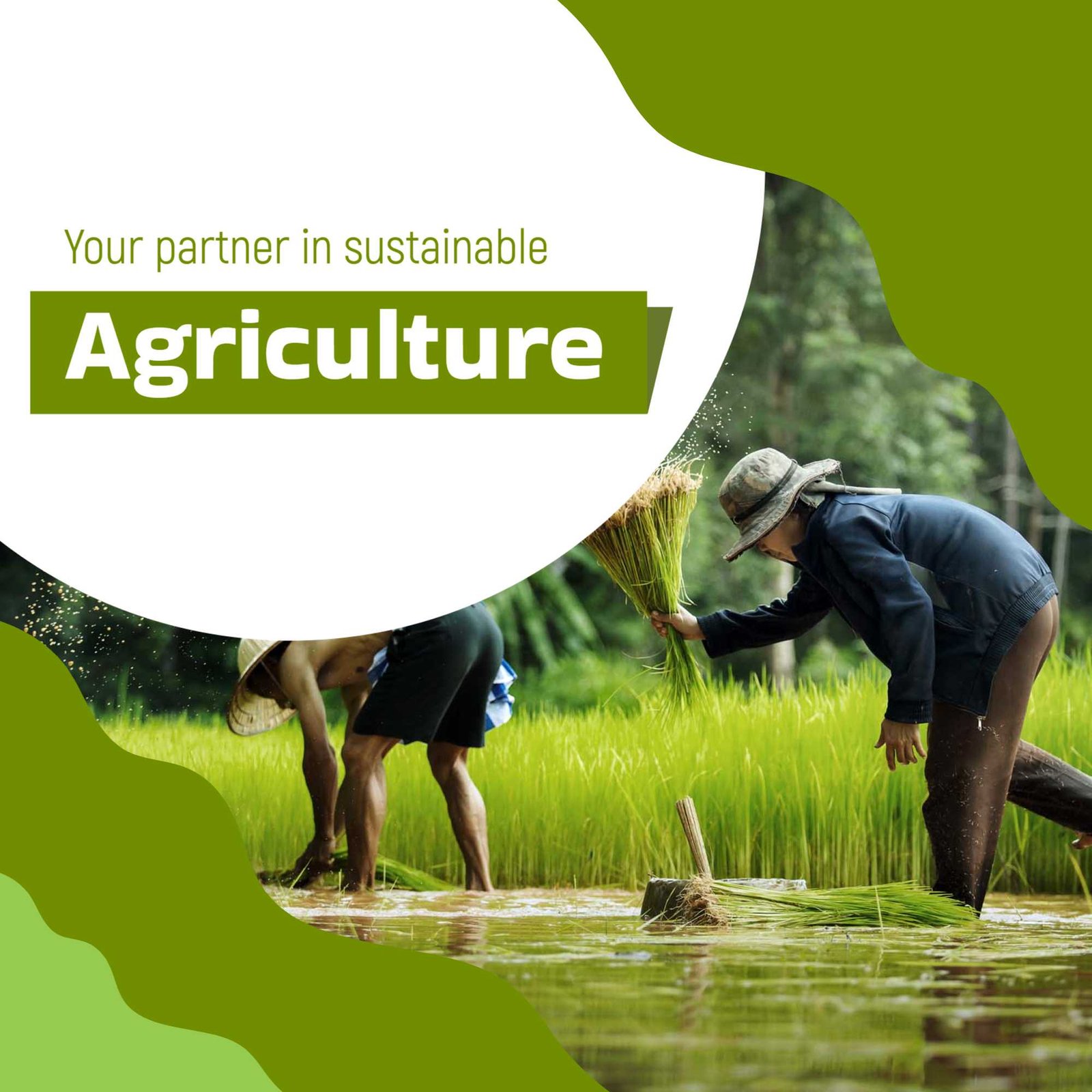 Agriculture poster 314