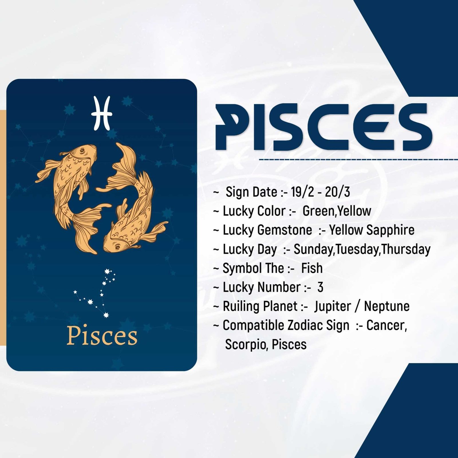 Astrologer poster 307