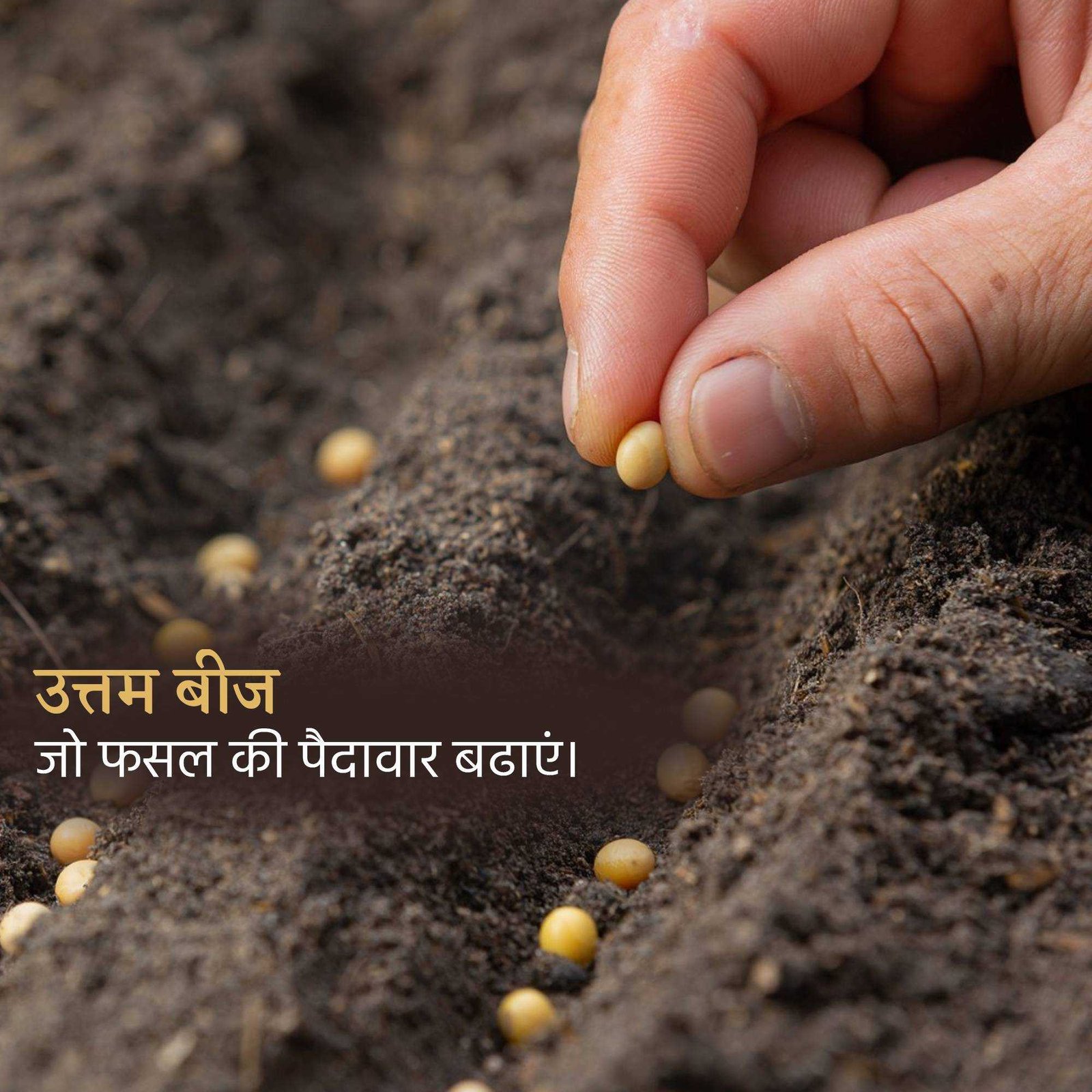 Agriculture पोस्टर 82