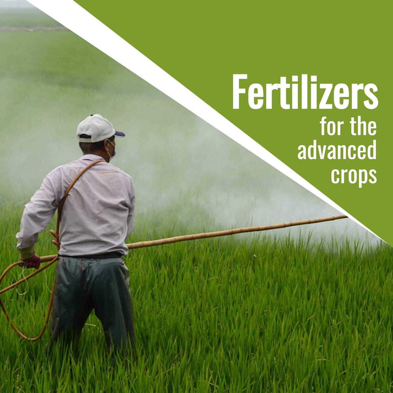 Agriculture poster 449
