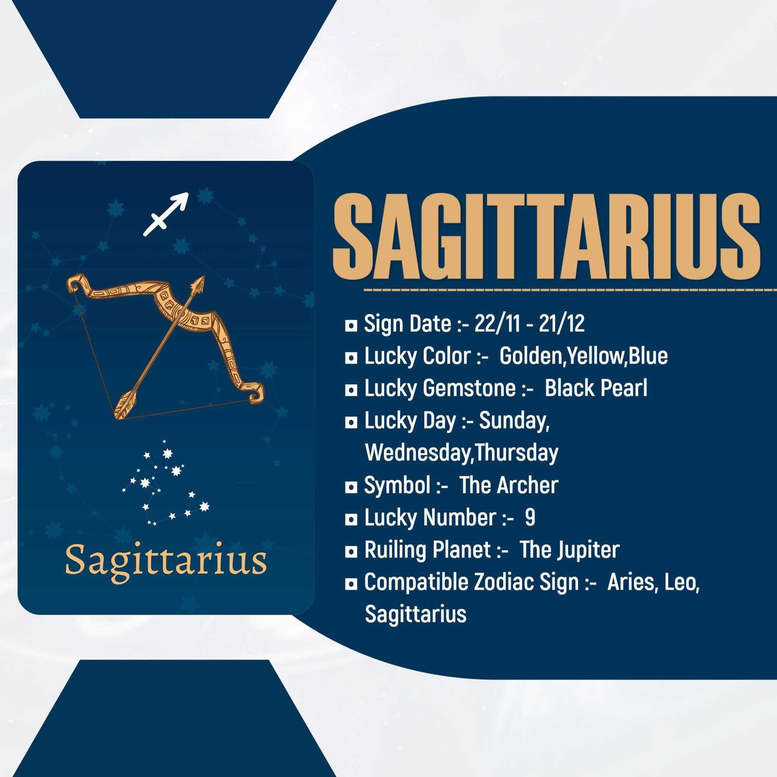 Astrologer poster 321