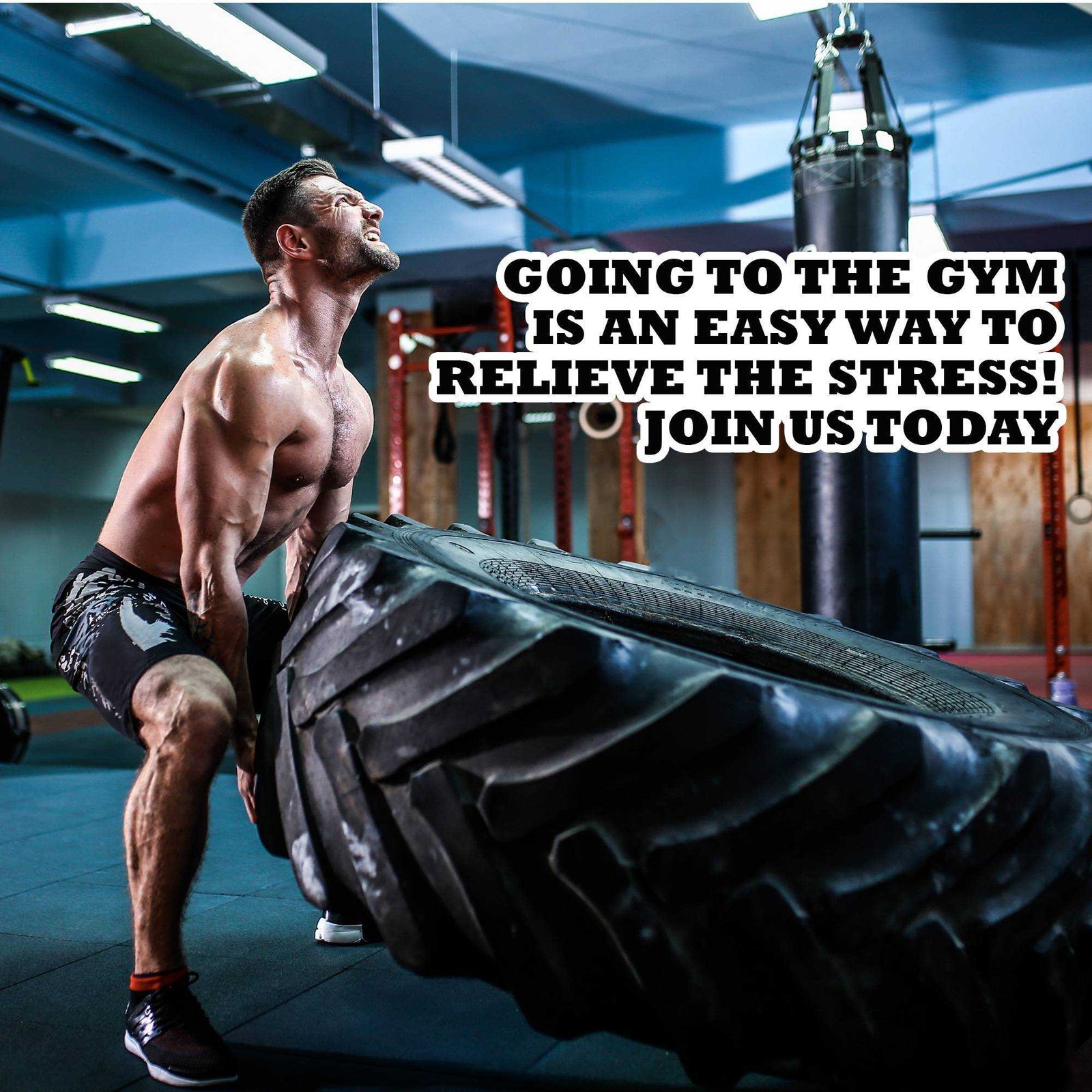 Fitness & Gym poster 209