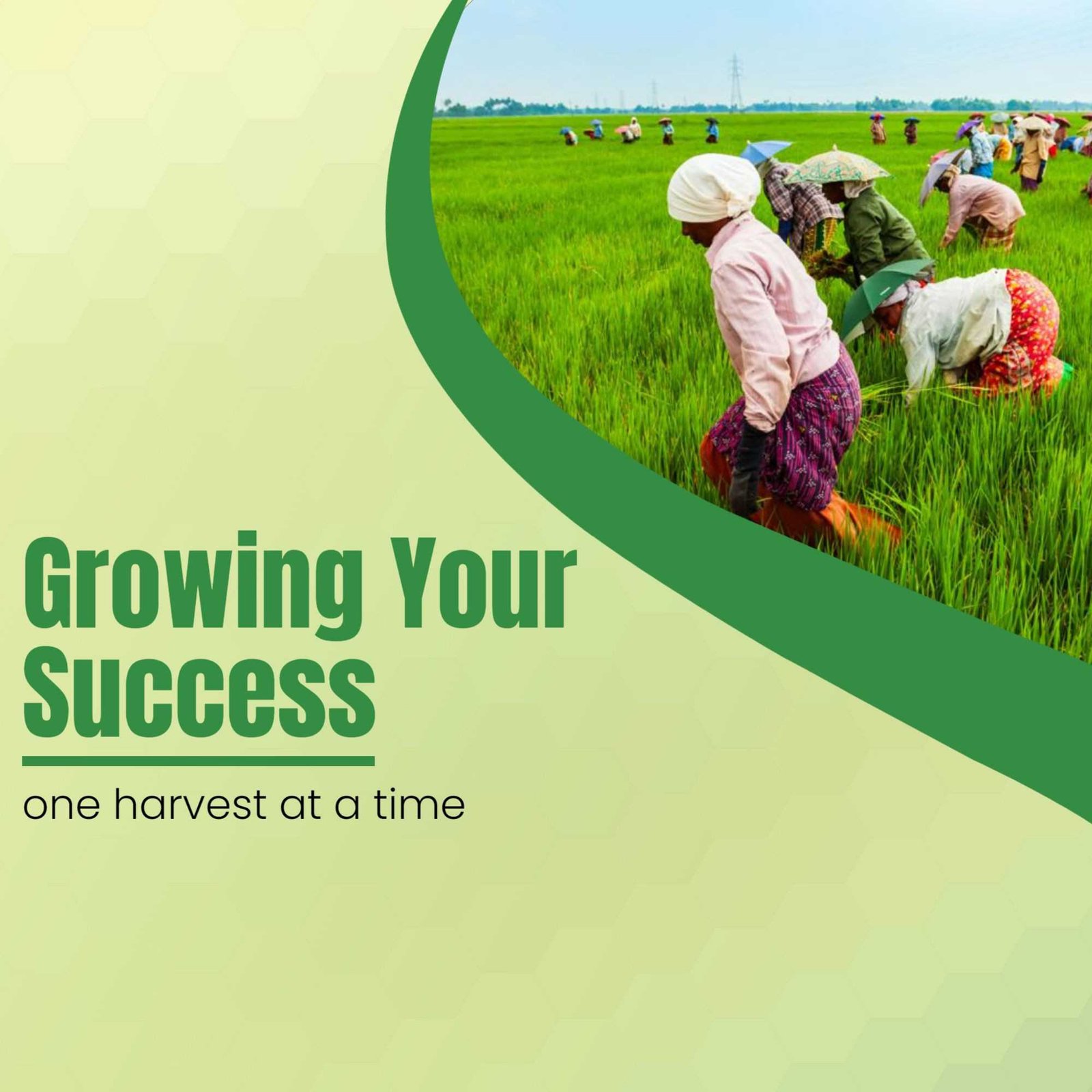 Agriculture पोस्टर 308