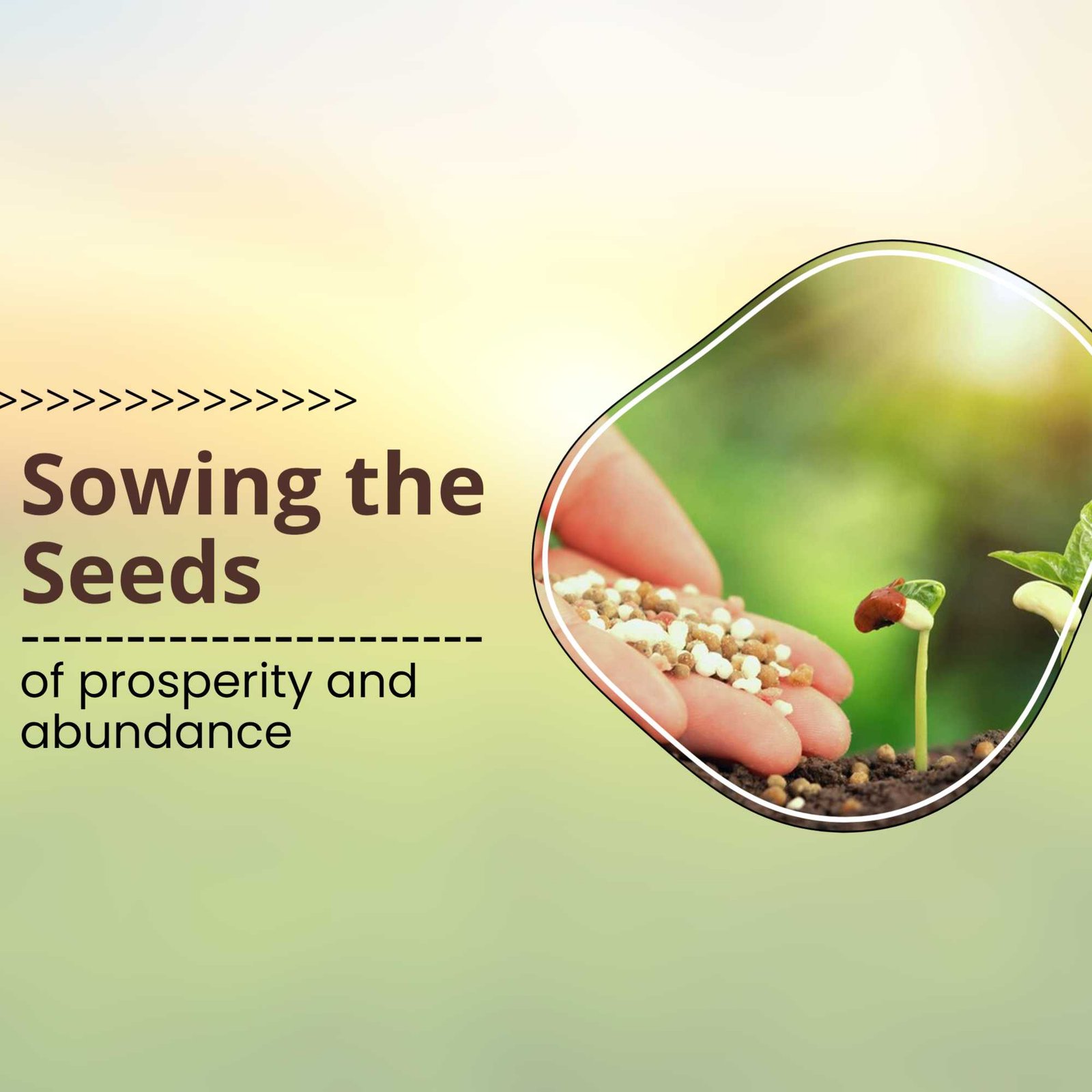 Agriculture poster 315