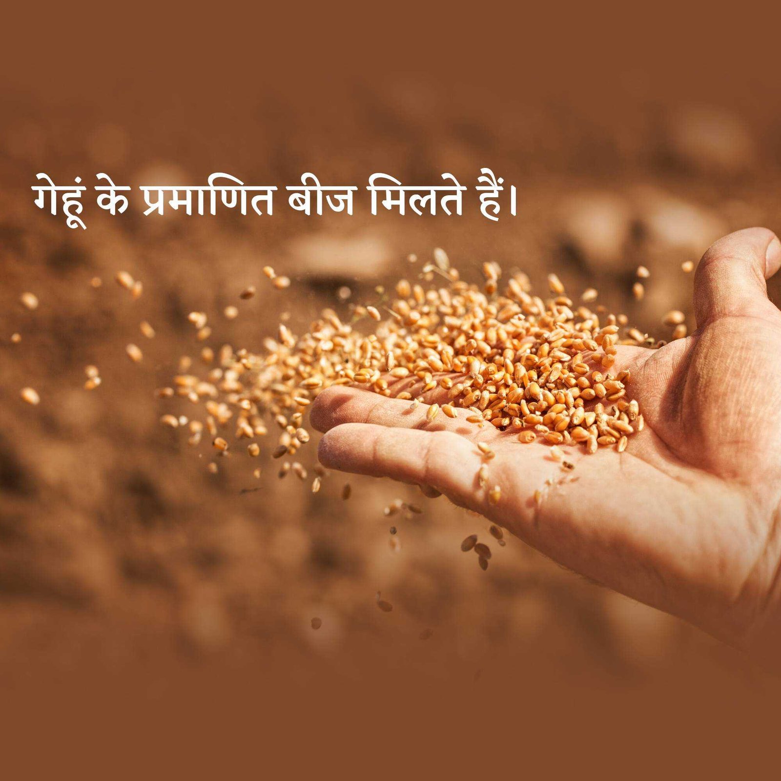 Agriculture पोस्टर 84