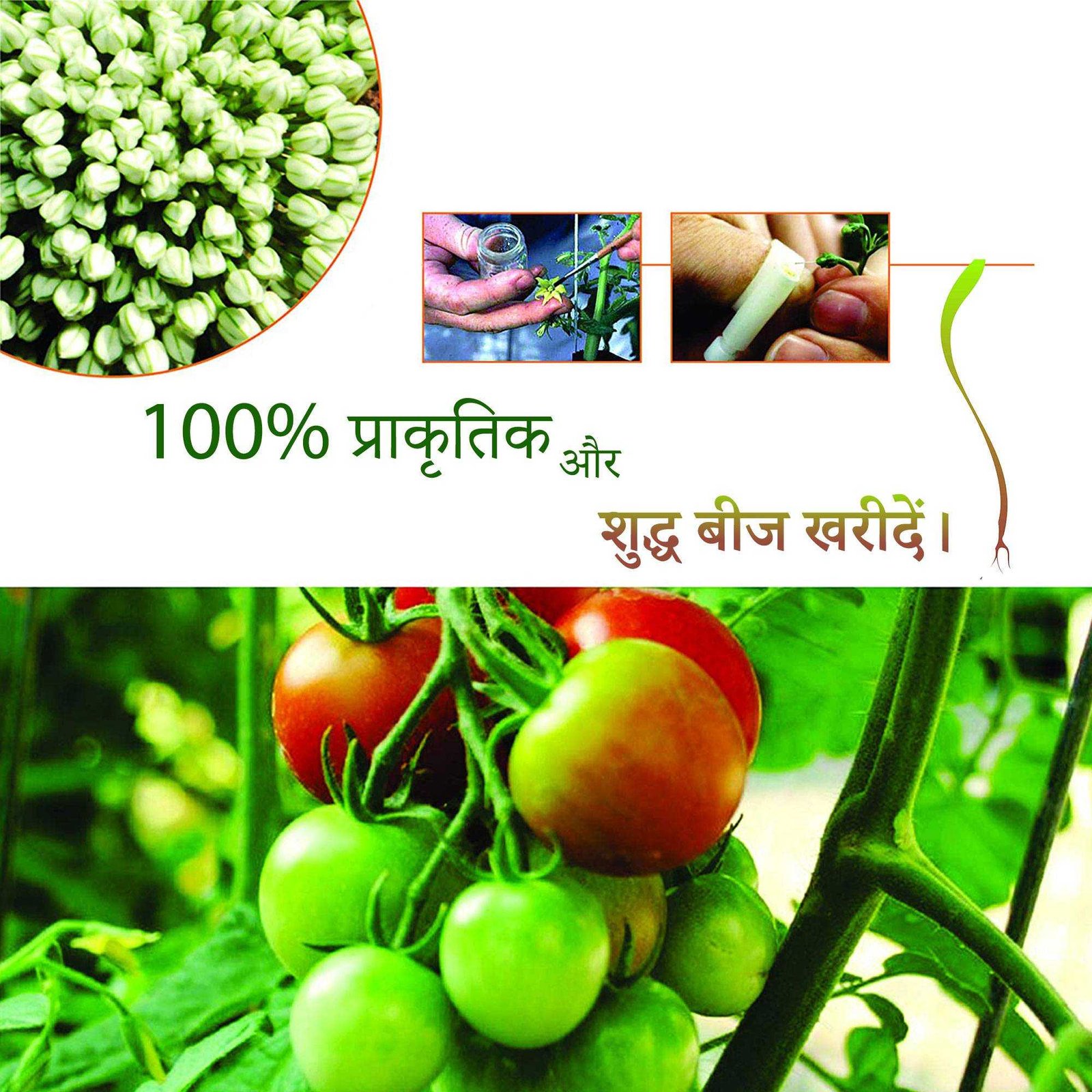 Agriculture पोस्टर 81