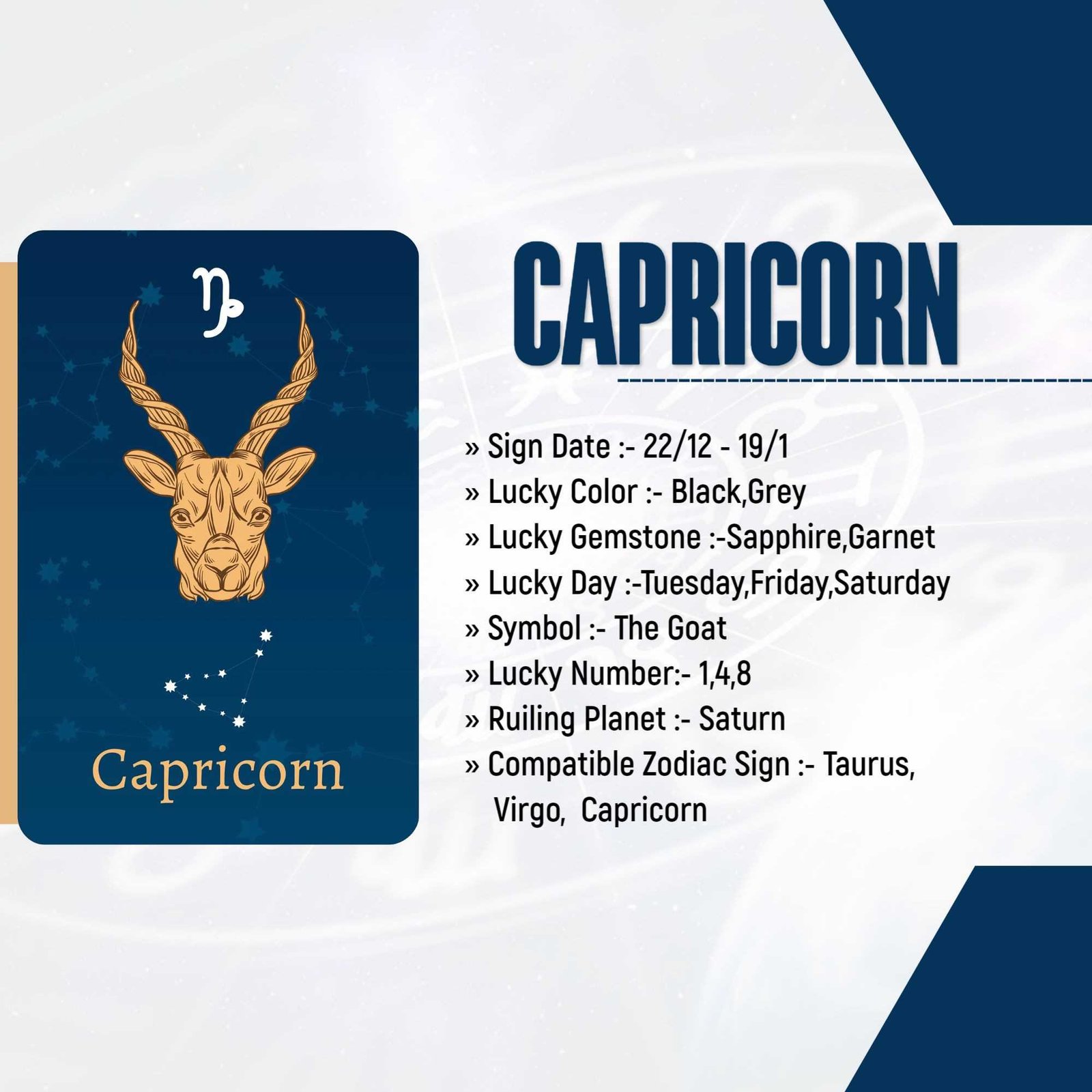 Astrologer poster 323