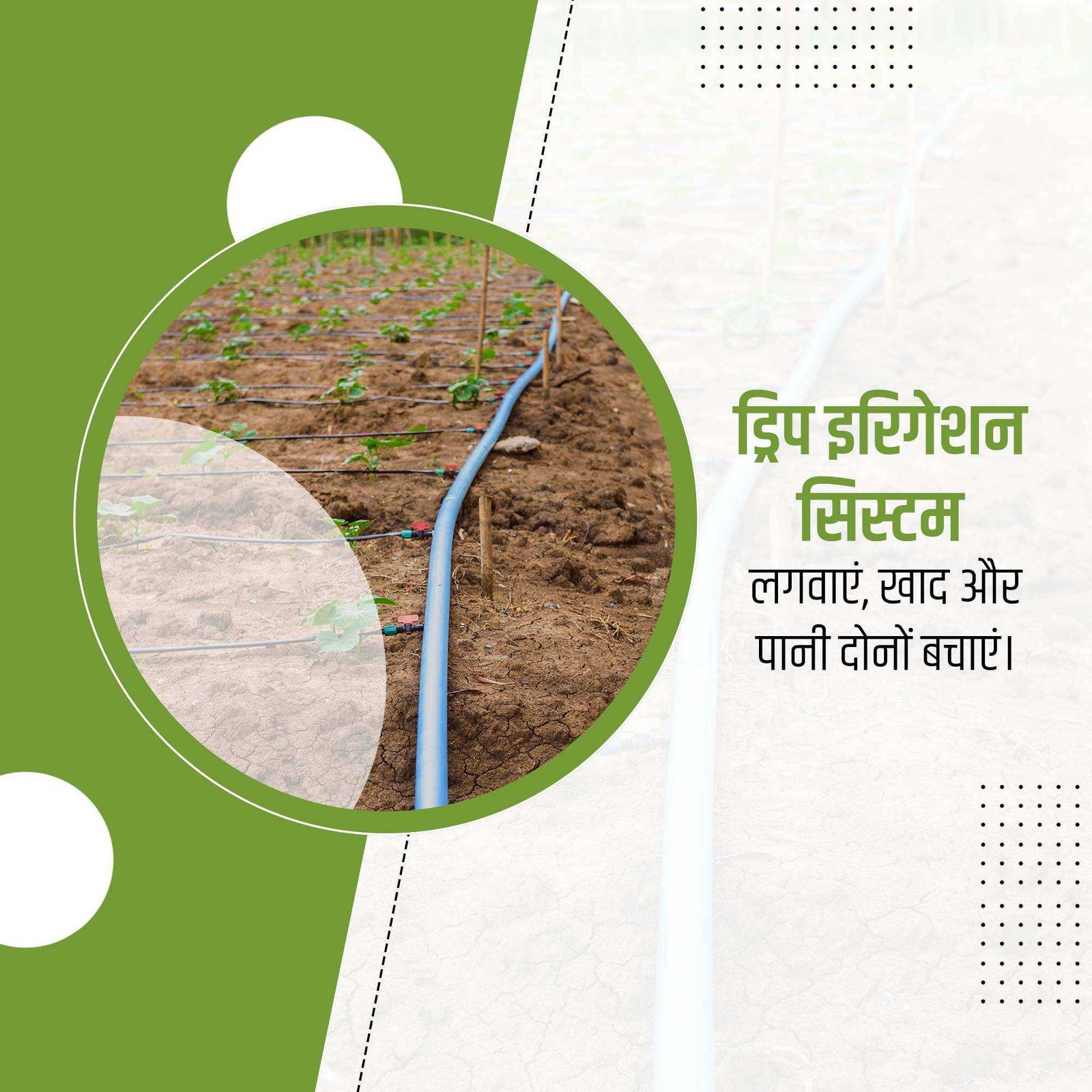 Agriculture poster 469