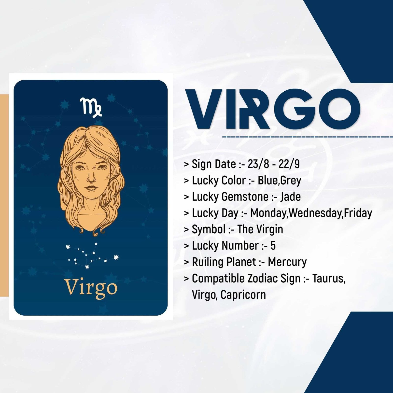 Astrologer poster 318
