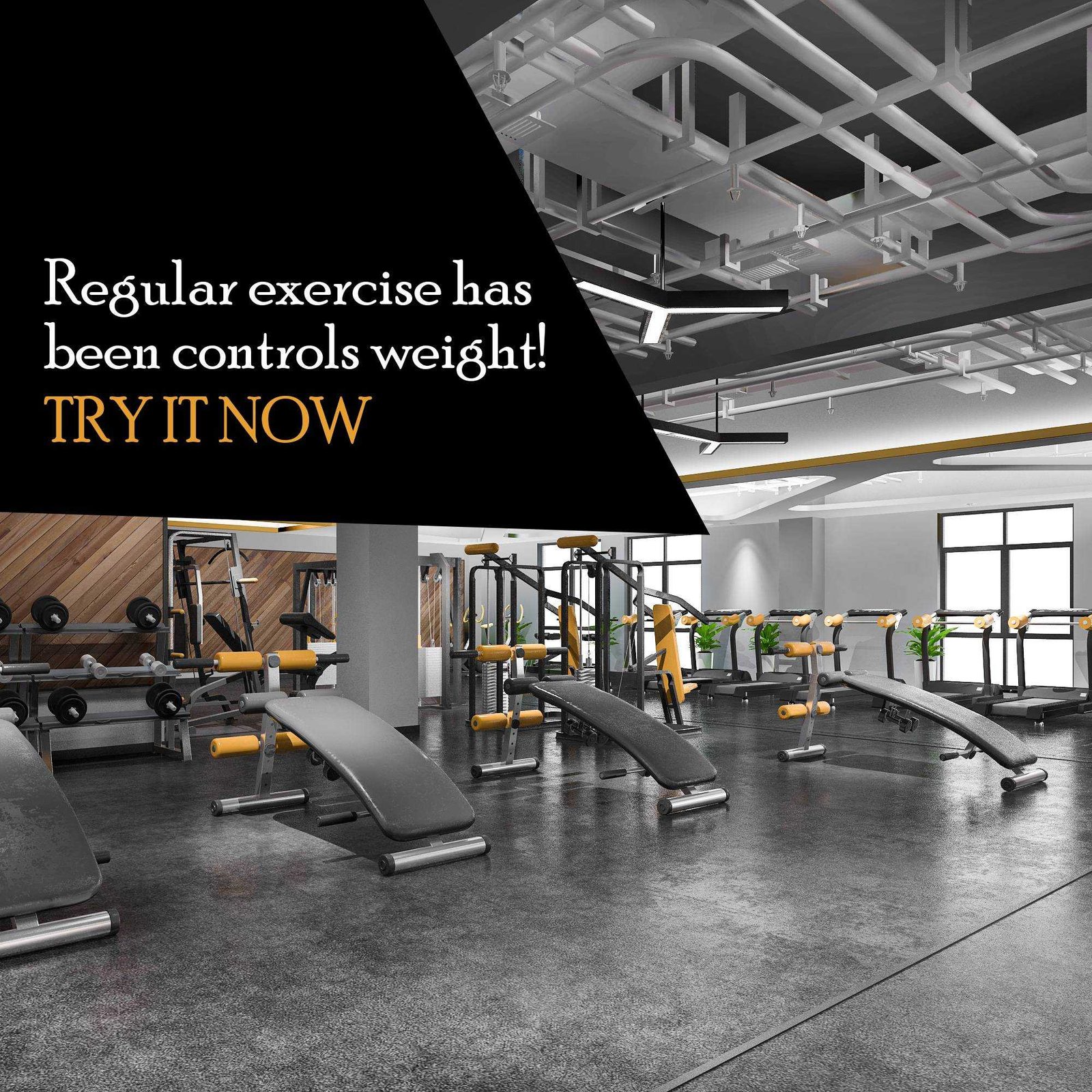 Fitness & Gym poster 208