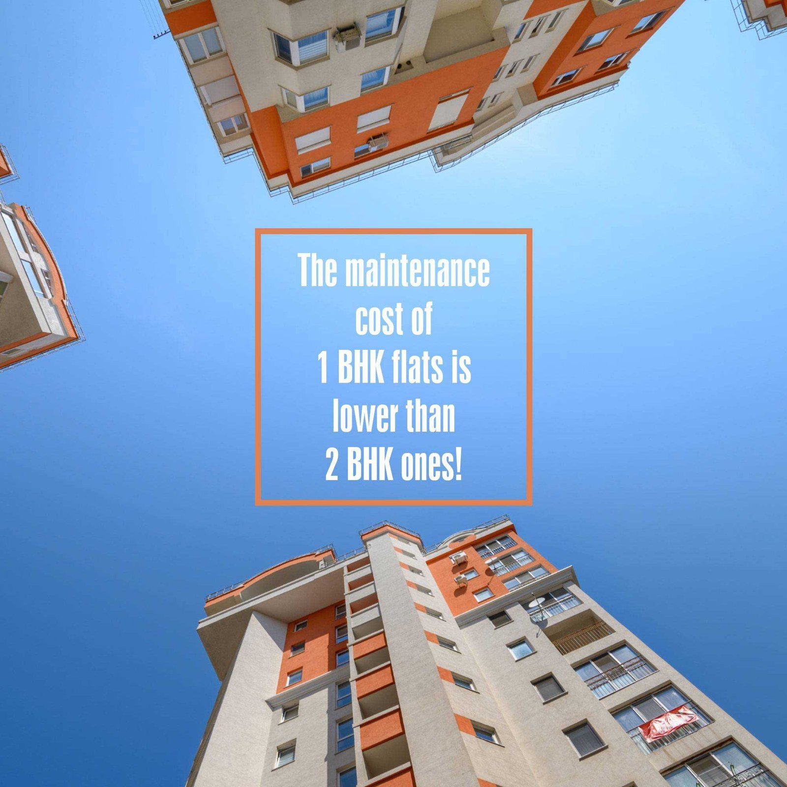 Real Estate poster 268
