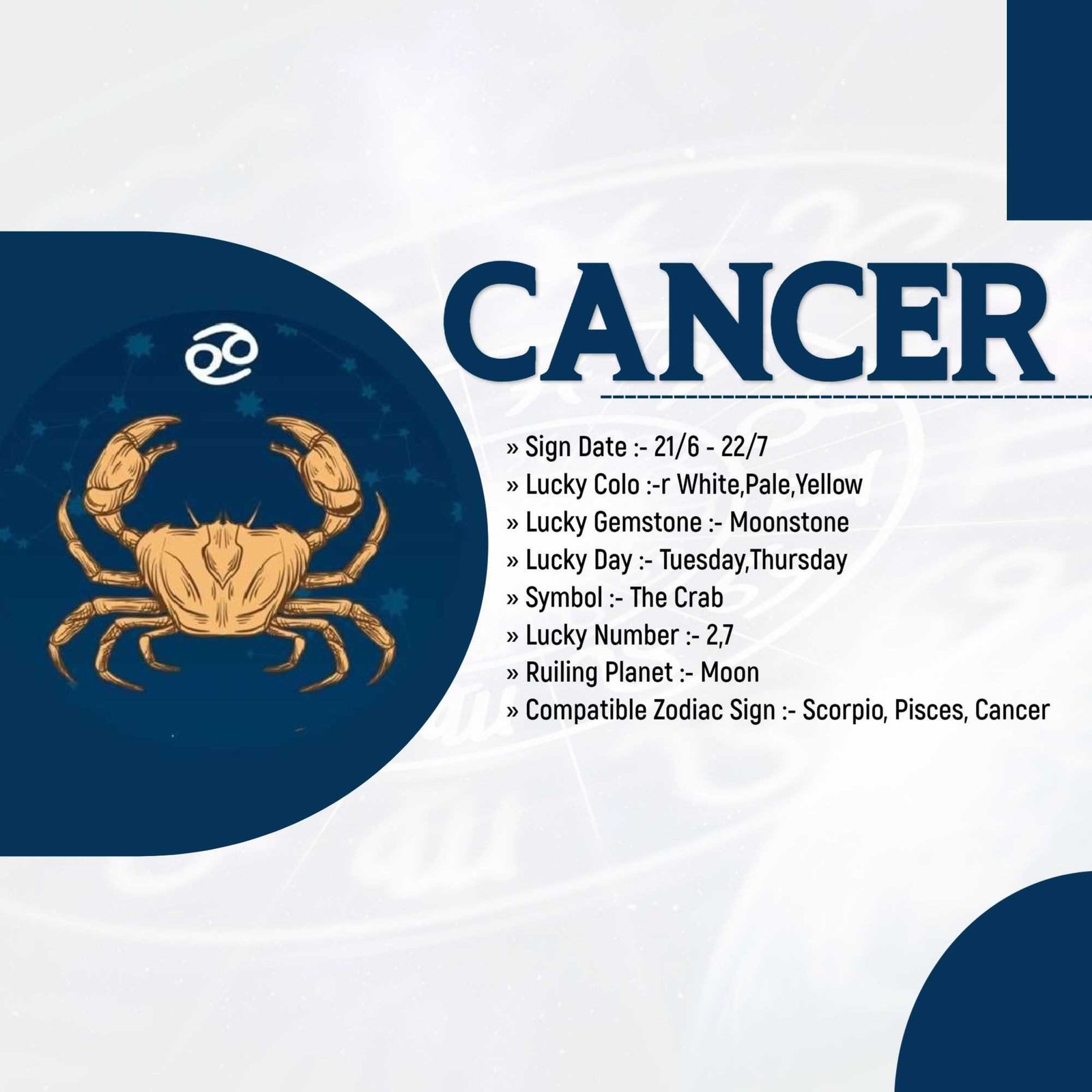 Astrologer poster 304