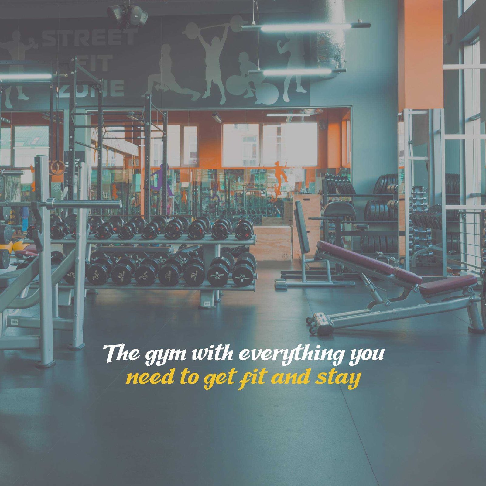 Fitness & Gym poster 206
