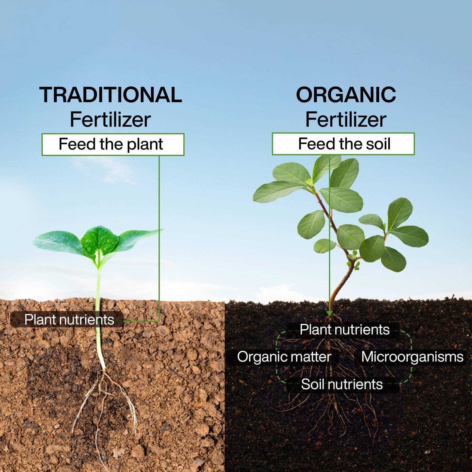 Agriculture poster 442