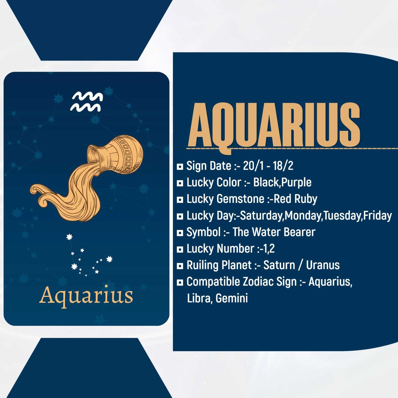 Astrologer poster 305