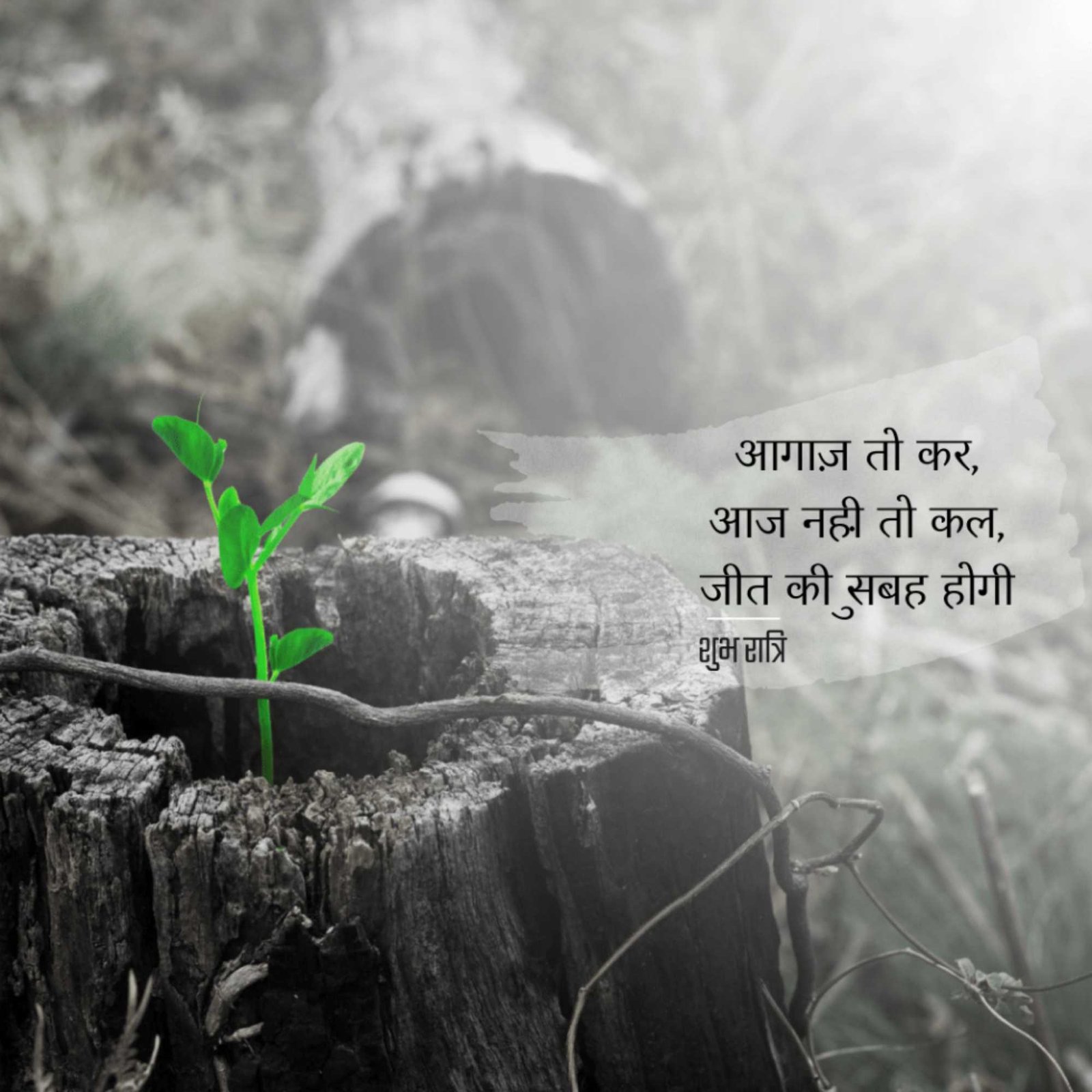 Good Morning