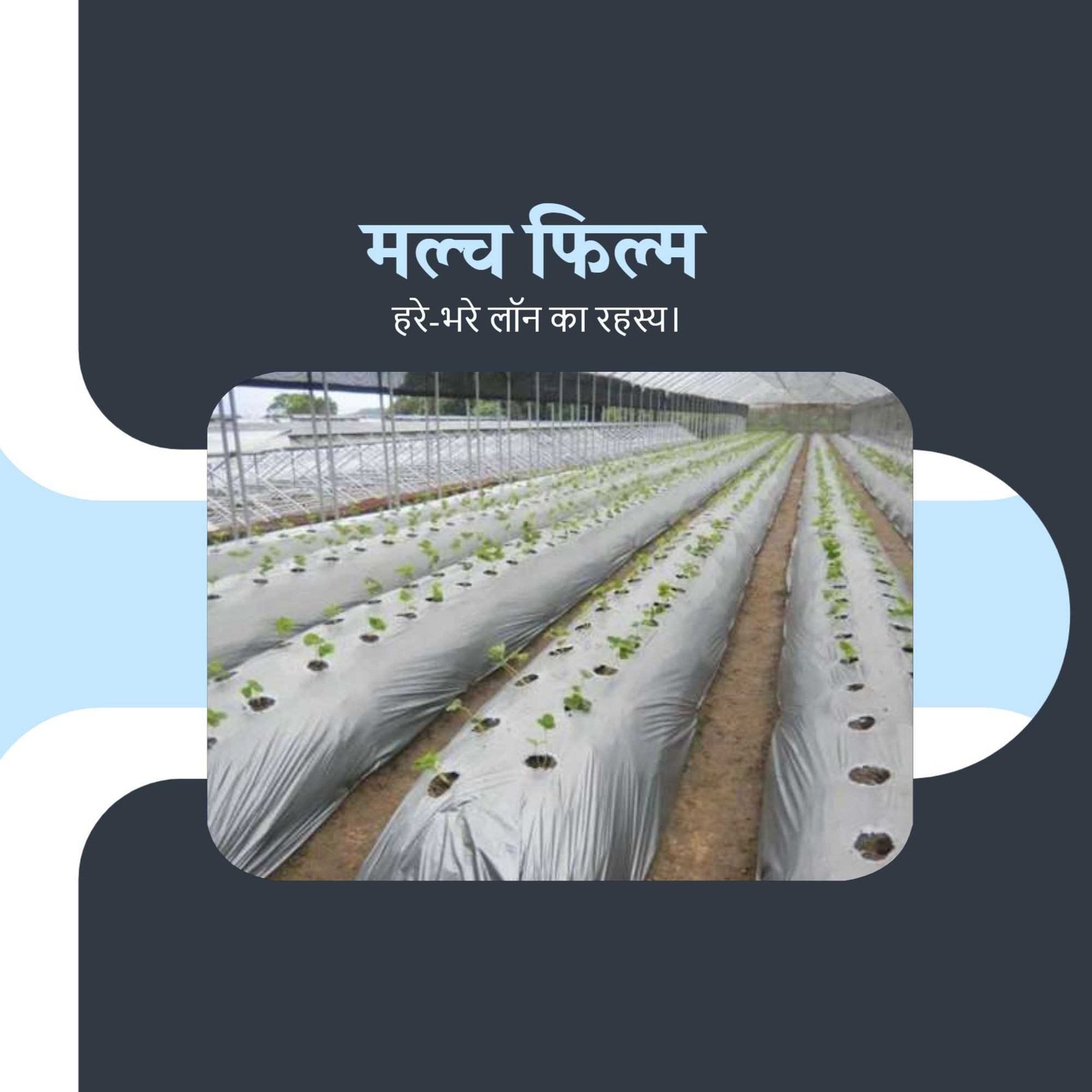 Agriculture poster 334
