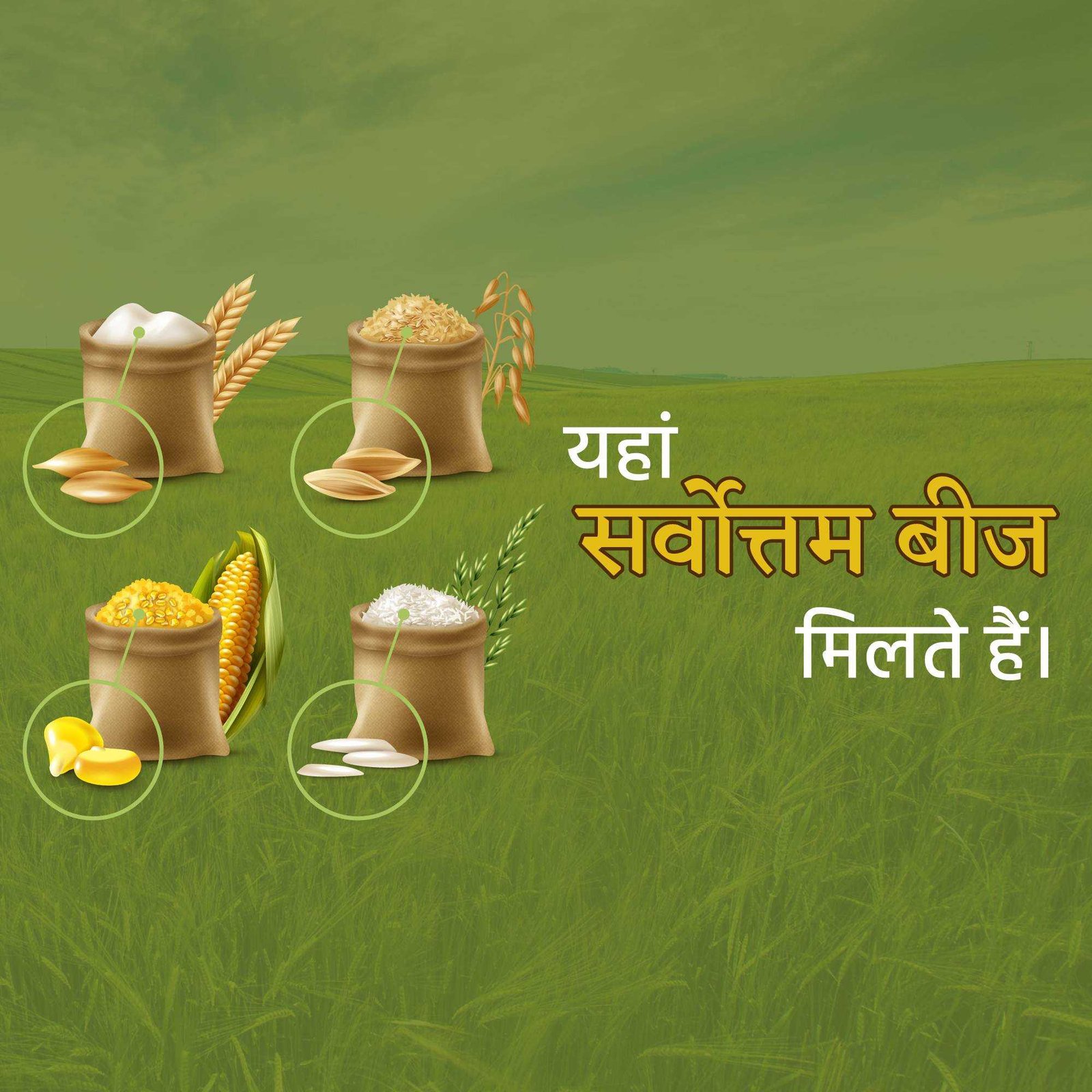 Agriculture पोस्टर 80