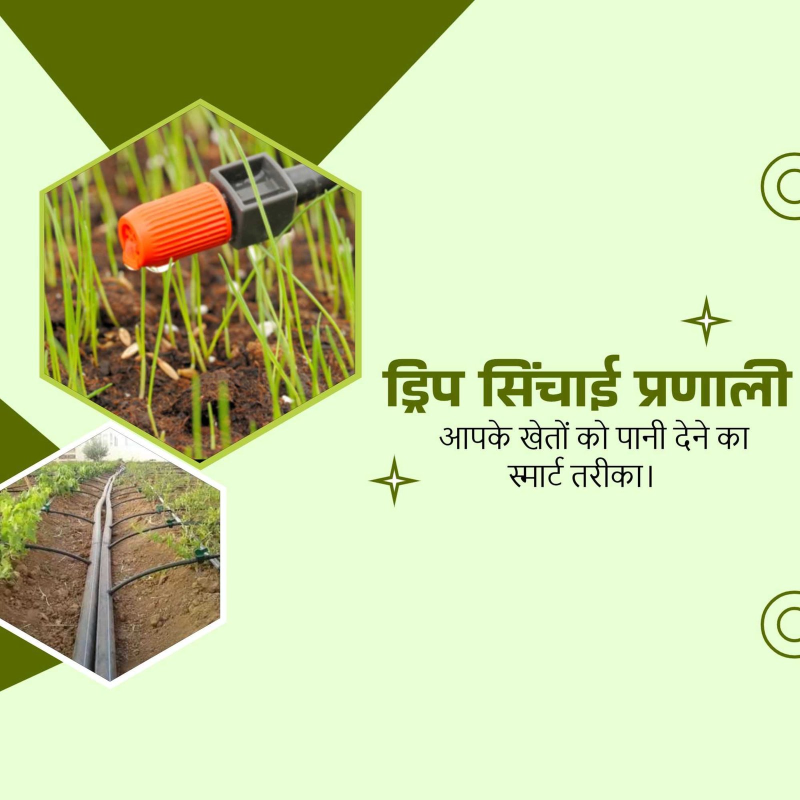 Agriculture poster 467