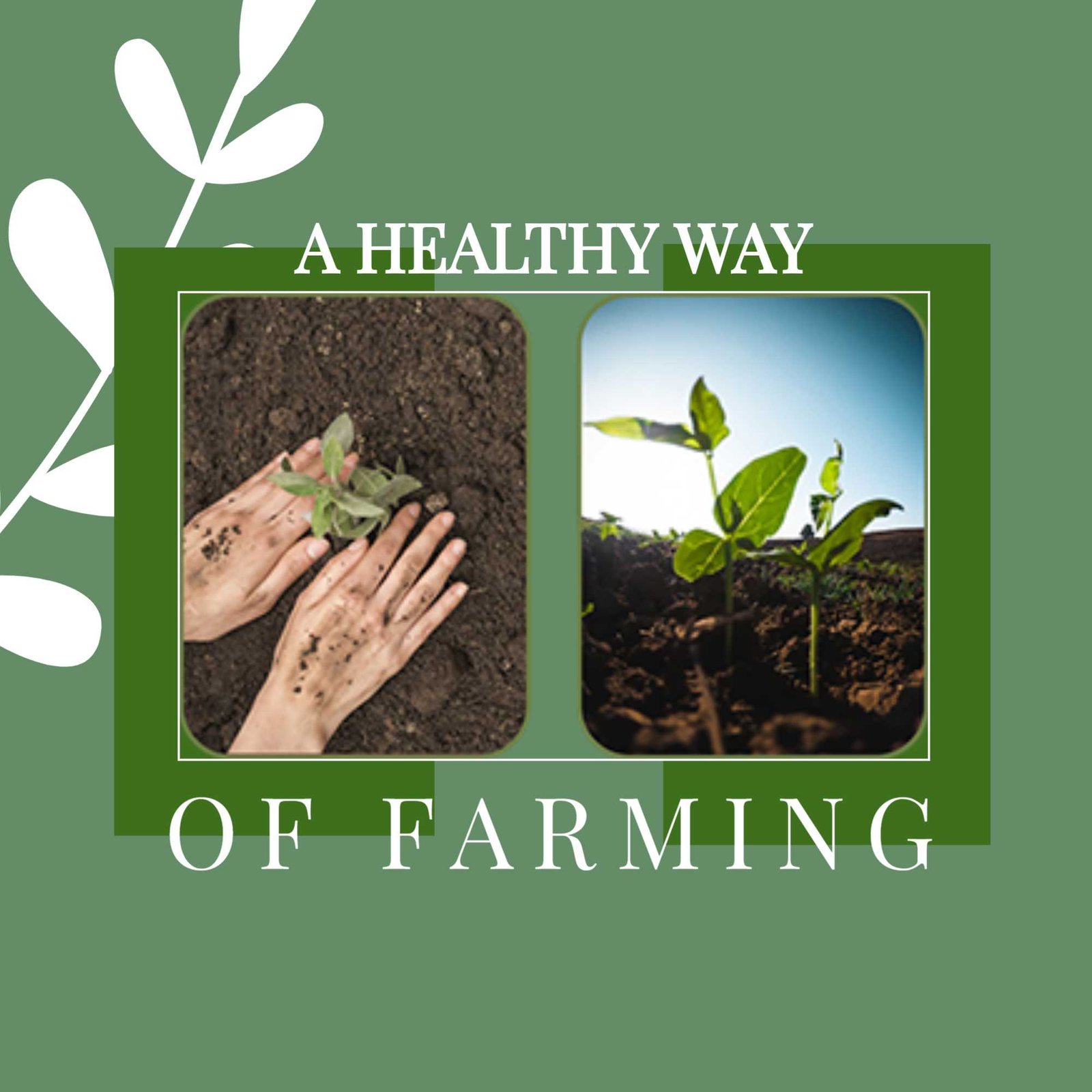 Agriculture poster 425