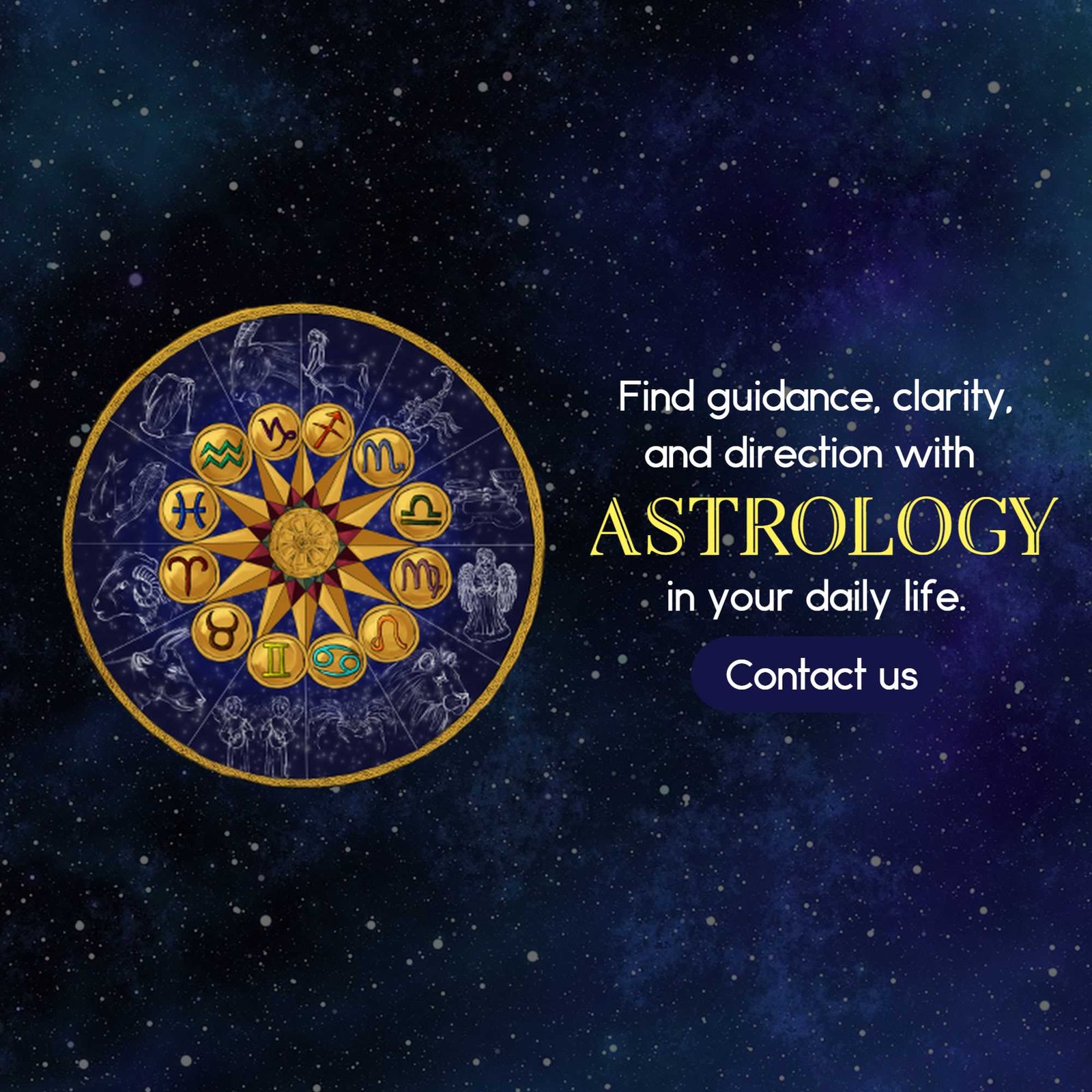 Astrologer पोस्टर 91