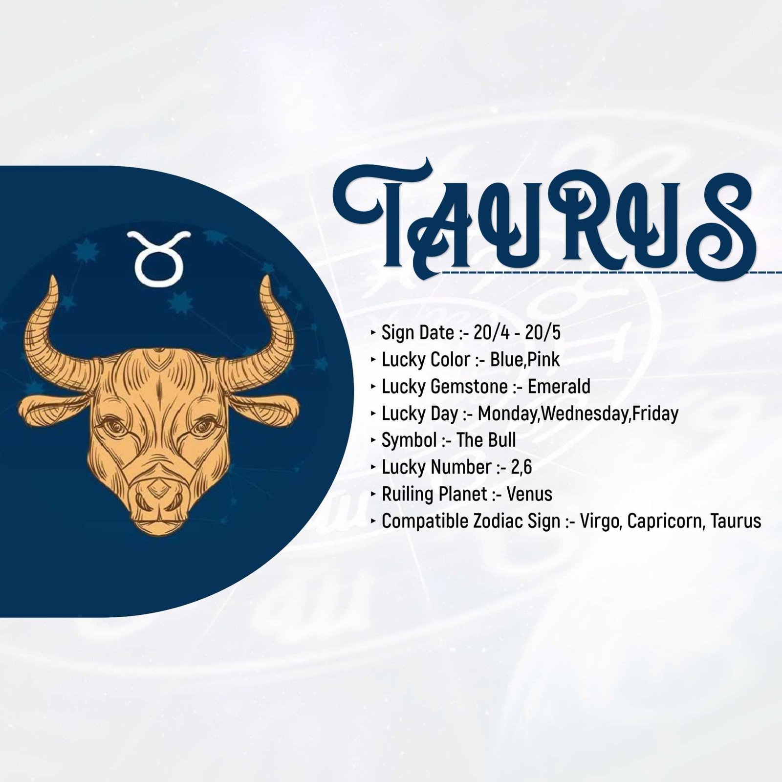 Astrologer poster 311