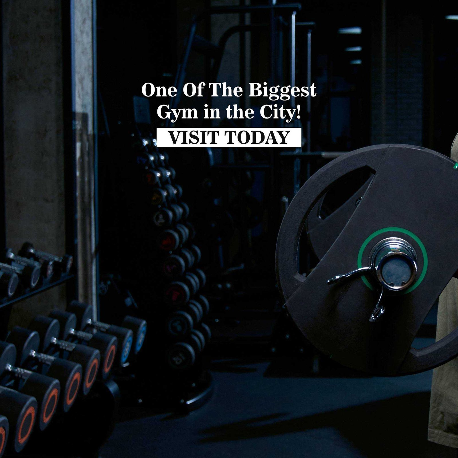 Fitness & Gym poster 207